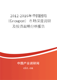 2012-2016年中國(guó)團(tuán)購(gòu)（Groupon）市場(chǎng)深度調(diào)研及投資戰(zhàn)略分析報(bào)告