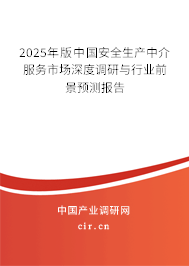 2025年版中國安全生產(chǎn)中介服務(wù)市場深度調(diào)研與行業(yè)前景預(yù)測報告