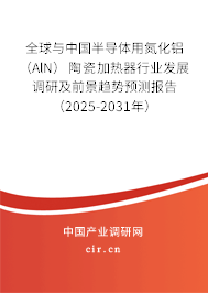 全球與中國半導體用氮化鋁（AlN）陶瓷加熱器行業(yè)發(fā)展調(diào)研及前景趨勢預測報告（2025-2031年）