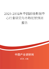 2025-2031年中國超級數(shù)據(jù)中心行業(yè)研究與市場前景預(yù)測報告