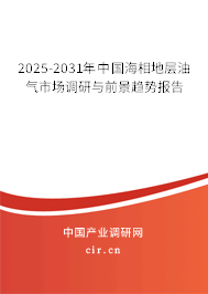 2025-2031年中國海相地層油氣市場調(diào)研與前景趨勢報告 2025-2031年中國海相地層油氣市場調(diào)研與前景趨勢報告