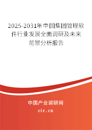 2025-2031年中國集團(tuán)管理軟件行業(yè)發(fā)展全面調(diào)研及未來前景分析報(bào)告