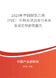 2025年中國聚氯乙烯（PVC）市場現(xiàn)狀調(diào)查與未來發(fā)展前景趨勢報告