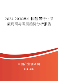 2024-2030年中國(guó)鋰箔行業(yè)深度調(diào)研與發(fā)展趨勢(shì)分析報(bào)告