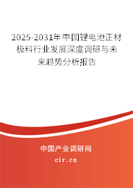 2025-2031年中國(guó)鋰電池正材極料行業(yè)發(fā)展深度調(diào)研與未來(lái)趨勢(shì)分析報(bào)告 2025-2031年中國(guó)鋰電池正材極料行業(yè)發(fā)展深度調(diào)研與未來(lái)趨勢(shì)分析報(bào)告