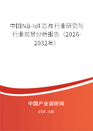 中國(guó)NB-IoT芯片行業(yè)研究與行業(yè)前景分析報(bào)告（2026-2032年）
