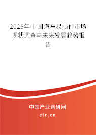 2025年中國汽車易損件市場現(xiàn)狀調(diào)查與未來發(fā)展趨勢報(bào)告 2025年中國汽車易損件市場現(xiàn)狀調(diào)查與未來發(fā)展趨勢報(bào)告
