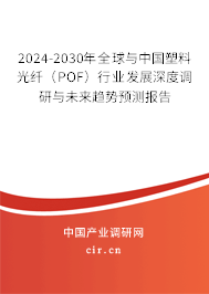 2024-2030年全球與中國塑料光纖(POF)行業(yè)發(fā)展深度調(diào)研與未來趨勢預(yù)測報告 2024-2030年全球與中國塑料光纖(POF)行業(yè)發(fā)展深度調(diào)研與未來趨勢預(yù)測報告