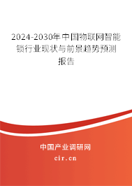 2024-2030年中國物聯(lián)網(wǎng)智能鎖行業(yè)現(xiàn)狀與前景趨勢預(yù)測報告