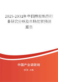 2025-2031年中國橡膠助劑行業(yè)研究分析及市場前景預測報告