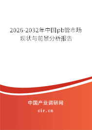 2025-2031年中國pb管市場現(xiàn)狀與前景分析報告 2025-2031年中國pb管市場現(xiàn)狀與前景分析報告