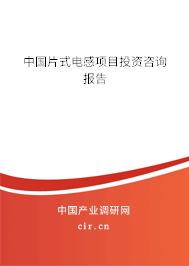 中國(guó)片式電感項(xiàng)目投資咨詢(xún)報(bào)告