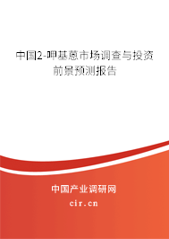 中國2-呷基蒽市場調查與投資前景預測報告