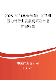 2025-2031年全球與中國飛機(jī)壓力計行業(yè)發(fā)展調(diào)研及市場前景報告
