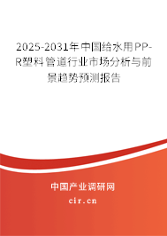2025-2031年中國給水用PP-R塑料管道行業(yè)市場分析與前景趨勢預測報告