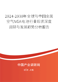 2024-2030年全球與中國金屬空氣NGA電池行業(yè)現(xiàn)狀深度調(diào)研與發(fā)展趨勢分析報(bào)告 2024-2030年全球與中國金屬空氣NGA電池行業(yè)現(xiàn)狀深度調(diào)研與發(fā)展趨勢分析報(bào)告