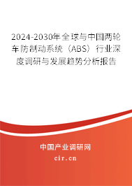 2024-2030年全球與中國(guó)兩輪車防制動(dòng)系統(tǒng)（ABS）行業(yè)深度調(diào)研與發(fā)展趨勢(shì)分析報(bào)告