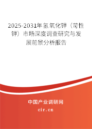 2025-2031年氫氧化鉀（苛性鉀）市場(chǎng)深度調(diào)查研究與發(fā)展前景分析報(bào)告