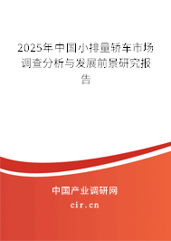 2025年中國小排量轎車市場調(diào)查分析與發(fā)展前景研究報告 2025年中國小排量轎車市場調(diào)查分析與發(fā)展前景研究報告