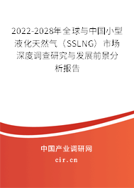 2022-2028年全球與中國小型液化天然氣(SSLNG)市場深度調(diào)查研究與發(fā)展前景分析報告 2022-2028年全球與中國小型液化天然氣(SSLNG)市場深度調(diào)查研究與發(fā)展前景分析報告