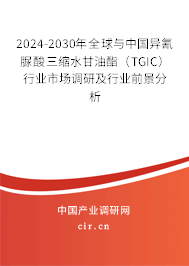 2024-2030年全球與中國異氰脲酸三縮水甘油酯（TGIC）行業(yè)市場(chǎng)調(diào)研及行業(yè)前景分析