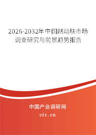 2026-2032年中國(guó)制動(dòng)塊市場(chǎng)調(diào)查研究與前景趨勢(shì)報(bào)告