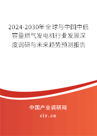 2024-2030年全球與中國中低容量燃?xì)獍l(fā)電機(jī)行業(yè)發(fā)展深度調(diào)研與未來趨勢(shì)預(yù)測(cè)報(bào)告 2024-2030年全球與中國中低容量燃?xì)獍l(fā)電機(jī)行業(yè)發(fā)展深度調(diào)研與未來趨勢(shì)預(yù)測(cè)報(bào)告