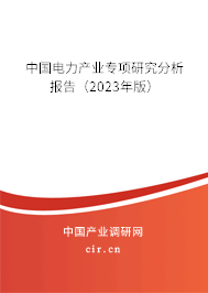 中國(guó)電力產(chǎn)業(yè)專項(xiàng)研究分析報(bào)告(2023年版) 中國(guó)電力產(chǎn)業(yè)專項(xiàng)研究分析報(bào)告(2023年版)