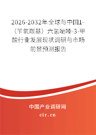 2026-2032年全球與中國1-(芐氧羰基)六氫噠嗪-3-甲酸行業(yè)發(fā)展現(xiàn)狀調(diào)研與市場前景預(yù)測報告 2026-2032年全球與中國1-(芐氧羰基)六氫噠嗪-3-甲酸行業(yè)發(fā)展現(xiàn)狀調(diào)研與市場前景預(yù)測報告