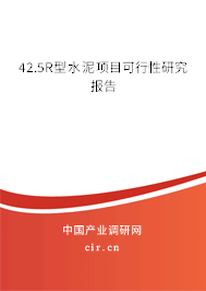 42.5R型水泥項(xiàng)目可行性研究報(bào)告 42.5R型水泥項(xiàng)目可行性研究報(bào)告