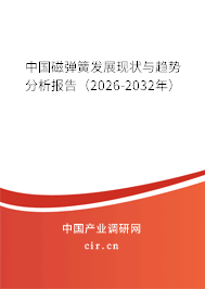 中國(guó)磁彈簧發(fā)展現(xiàn)狀與趨勢(shì)分析報(bào)告（2024-2030年）