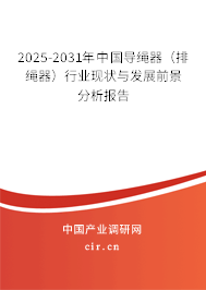 2025-2031年中國導繩器（排繩器）行業(yè)現(xiàn)狀與發(fā)展前景分析報告