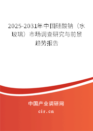 2025-2031年中國(guó)硅酸鈉(水玻璃)市場(chǎng)調(diào)查研究與前景趨勢(shì)報(bào)告 2025-2031年中國(guó)硅酸鈉(水玻璃)市場(chǎng)調(diào)查研究與前景趨勢(shì)報(bào)告