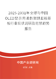 2025-2031年全球與中國OLED顯示用柔性聚酰亞胺基板行業(yè)現(xiàn)狀調(diào)研及前景趨勢報告