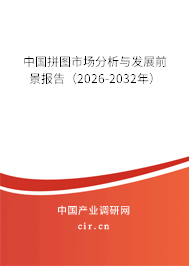 中國拼圖市場分析與發(fā)展前景報告（2026-2032年）