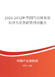 2024-2030年中國氣動(dòng)錘發(fā)展現(xiàn)狀與前景趨勢預(yù)測報(bào)告