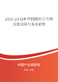 2025-2031年中國(guó)攝影燈市場(chǎng)深度調(diào)研與發(fā)展趨勢(shì)
