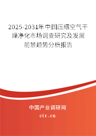 2025-2031年中國壓縮空氣干燥凈化市場調查研究及發(fā)展前景趨勢分析報告
