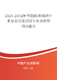 2025-2031年中國粗苯精制行業(yè)發(fā)展深度調(diào)研與未來趨勢預測報告
