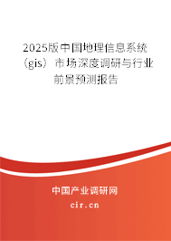 2025版中國地理信息系統(tǒng)（gis）市場深度調(diào)研與行業(yè)前景預(yù)測報告