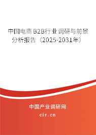 中國電商B2B行業(yè)調(diào)研與前景分析報告(2025-2031年) 中國電商B2B行業(yè)調(diào)研與前景分析報告(2025-2031年)