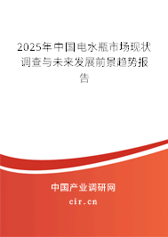 2025年中國電水瓶市場現(xiàn)狀調(diào)查與未來發(fā)展前景趨勢報告