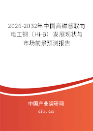 2026-2032年中國高磁感取向電工鋼（Hi-B）發(fā)展現(xiàn)狀與市場前景預(yù)測報(bào)告