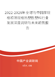 2022-2028年全球與中國厚規(guī)格和薄規(guī)格熱塑性塑料行業(yè)發(fā)展深度調(diào)研與未來趨勢報告