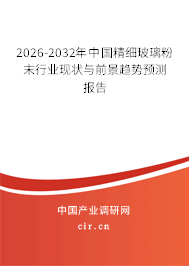 2025-2031年中國精細(xì)玻璃粉末行業(yè)現(xiàn)狀與前景趨勢預(yù)測報告
