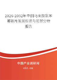 2026-2032年中國馬來酸氯苯那敏片發(fā)展現(xiàn)狀與前景分析報(bào)告