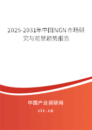 2025-2031年中國NGN市場研究與前景趨勢報告