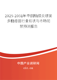 2025-2031年中國(guó)腦膜炎球菌多糖疫苗行業(yè)現(xiàn)狀與市場(chǎng)前景預(yù)測(cè)報(bào)告 2025-2031年中國(guó)腦膜炎球菌多糖疫苗行業(yè)現(xiàn)狀與市場(chǎng)前景預(yù)測(cè)報(bào)告