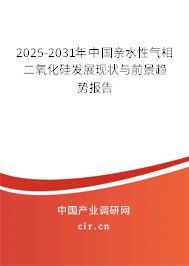 2025-2031年中國親水性氣相二氧化硅發(fā)展現(xiàn)狀與前景趨勢報(bào)告