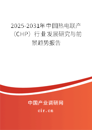2025-2031年中國熱電聯(lián)產(chǎn)（CHP）行業(yè)發(fā)展研究與前景趨勢報告